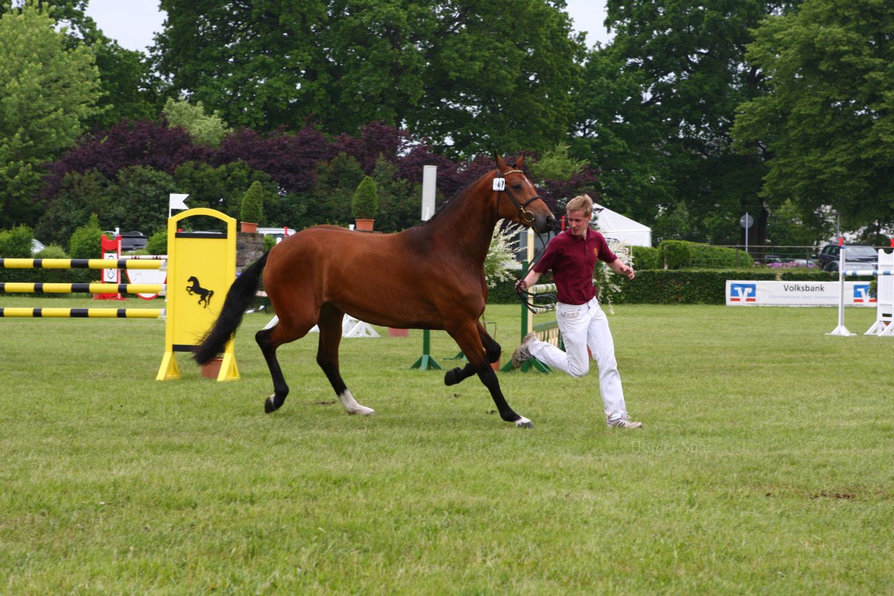 Bild 88 - Elmshorn am 9.6.10